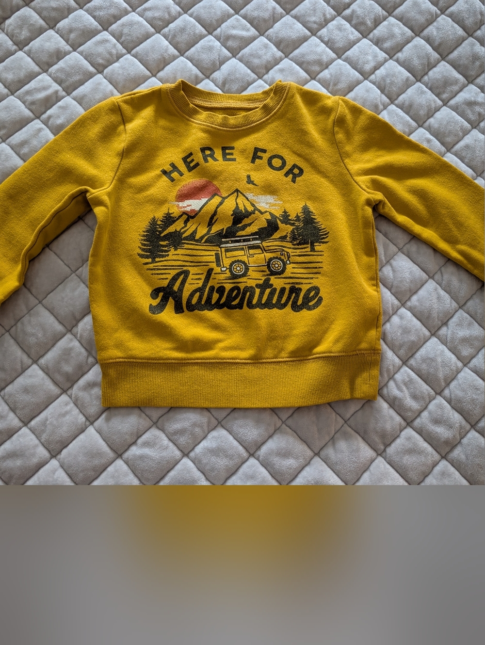 Toddler Boys Sweatshirt Set Of 4x, Size 3T. Assorted brands - Picture 2 of 9